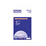 Epson Luster photo paper - white - Roll (13 in x 32.8 ft) - 240 g/m2